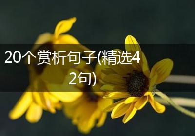 20个赏析句子(精选42句)