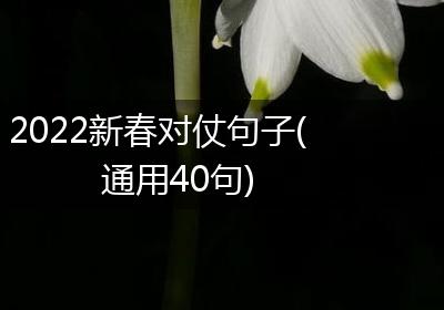 2022新春对仗句子(通用40句)