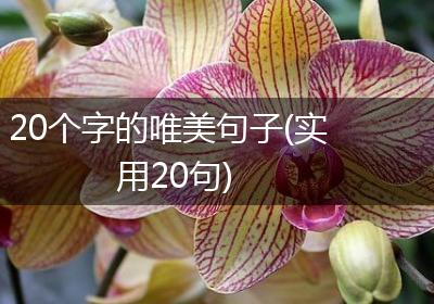 20个字的唯美句子(实用20句)