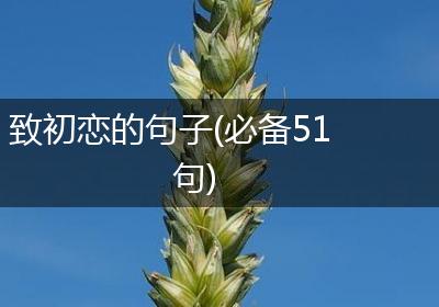 致初恋的句子(必备51句)