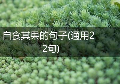 自食其果的句子(通用22句)