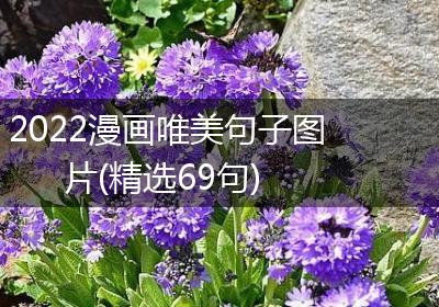 2022漫画唯美句子图片(精选69句)