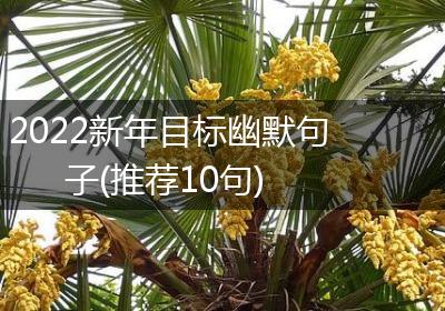 2022新年目标幽默句子(推荐10句)
