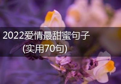 2022爱情最甜蜜句子(实用70句)