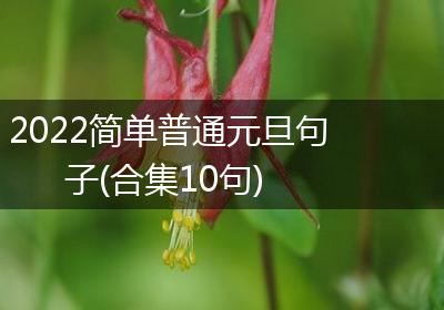 2022简单普通元旦句子(合集10句)