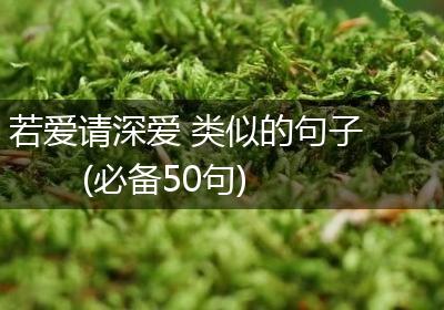 若爱请深爱 类似的句子(必备50句)