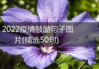 2022疫情鼓励句子图片(精选50句)