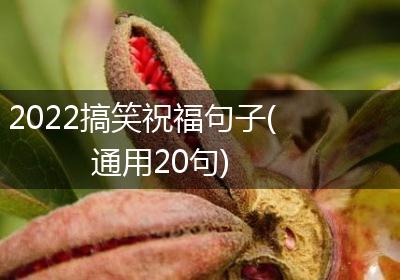 2022搞笑祝福句子(通用20句)