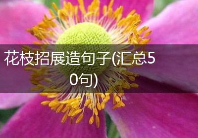 花枝招展造句子(汇总50句)