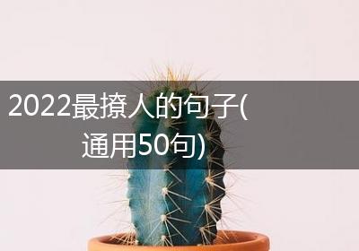 2022最撩人的句子(通用50句)