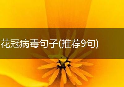 花冠病毒句子(推荐9句)