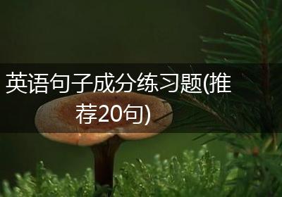 英语句子成分练习题(推荐20句)
