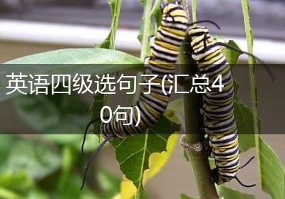 英语四级选句子(汇总40句)