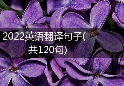 2022英语翻译句子(共120句)