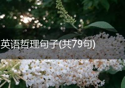 英语哲理句子(共79句)