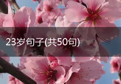 23岁句子(共50句)