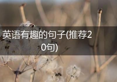 英语有趣的句子(推荐20句)