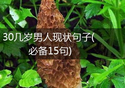 30几岁男人现状句子(必备15句)