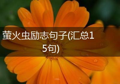 萤火虫励志句子(汇总15句)