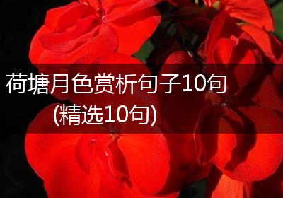荷塘月色赏析句子10句(精选10句)