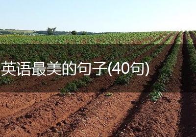 英语最美的句子(40句)