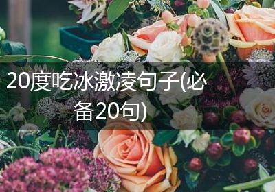 20度吃冰激凌句子(必备20句)