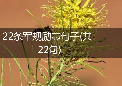 22条军规励志句子(共22句)