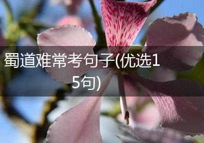 蜀道难常考句子(优选15句)