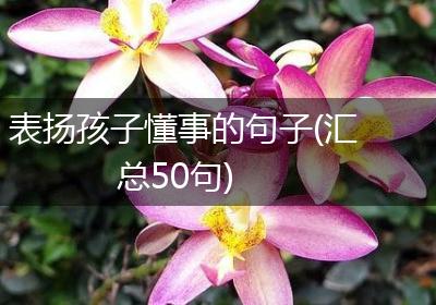 表扬孩子懂事的句子(汇总50句)