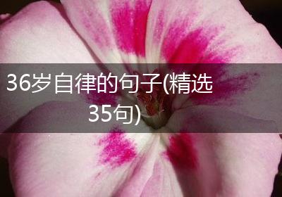 36岁自律的句子(精选35句)