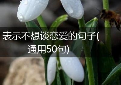 表示不想谈恋爱的句子(通用50句)