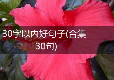30字以内好句子(合集30句)