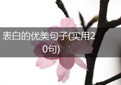 表白的优美句子(实用20句)