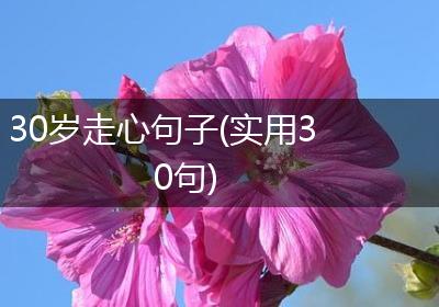 30岁走心句子(实用30句)