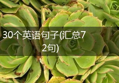 30个英语句子(汇总72句)
