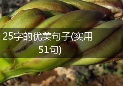 25字的优美句子(实用51句)