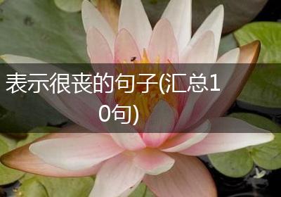 表示很丧的句子(汇总10句)