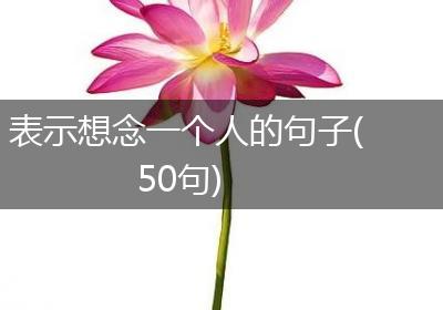 表示想念一个人的句子(50句)