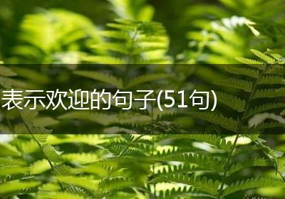 表示欢迎的句子(51句)