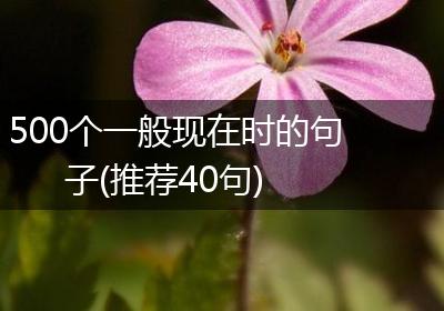 500个一般现在时的句子(推荐40句)