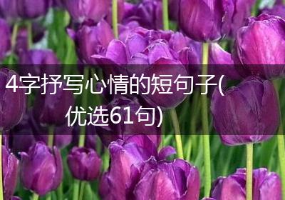 4字抒写心情的短句子(优选61句)