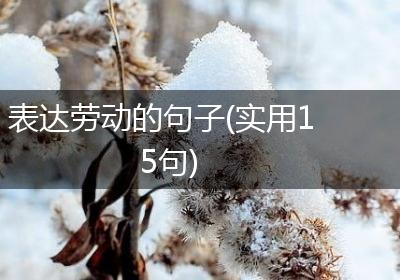 表达劳动的句子(实用15句)