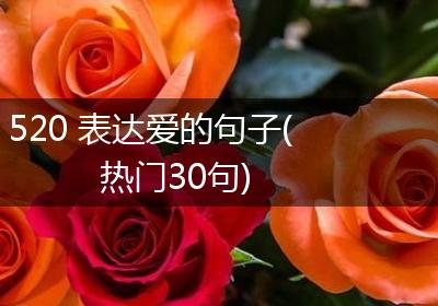 520 表达爱的句子(热门30句)