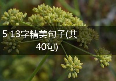 5 13字精美句子(共40句)