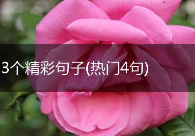 3个精彩句子(热门4句)