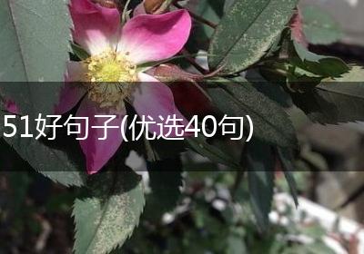 51好句子(优选40句)