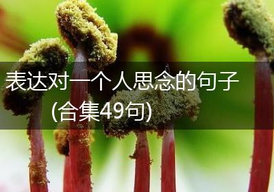 表达对一个人思念的句子(合集49句)