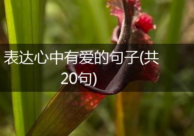 表达心中有爱的句子(共20句)