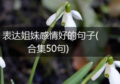 表达姐妹感情好的句子(合集50句)