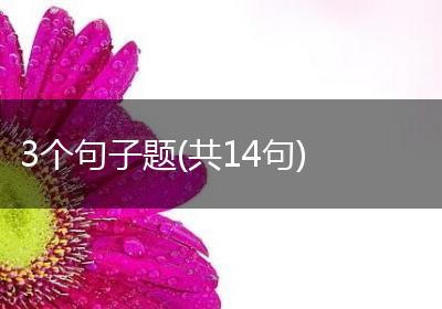 3个句子题(共14句)